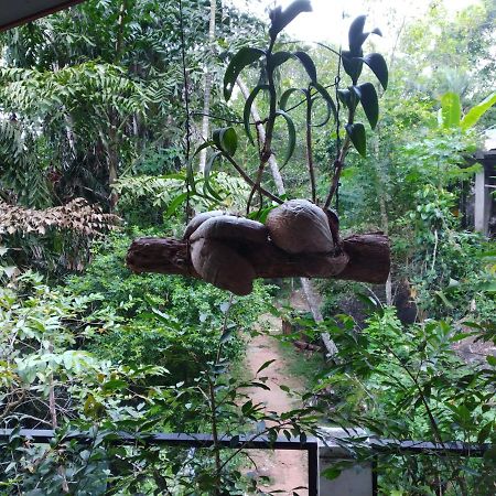 Rock Side Inn Unawatuna Exterior foto